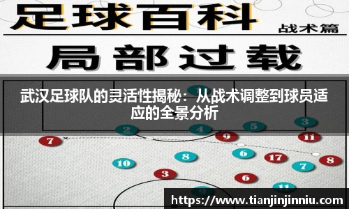 武汉足球队的灵活性揭秘：从战术调整到球员适应的全景分析
